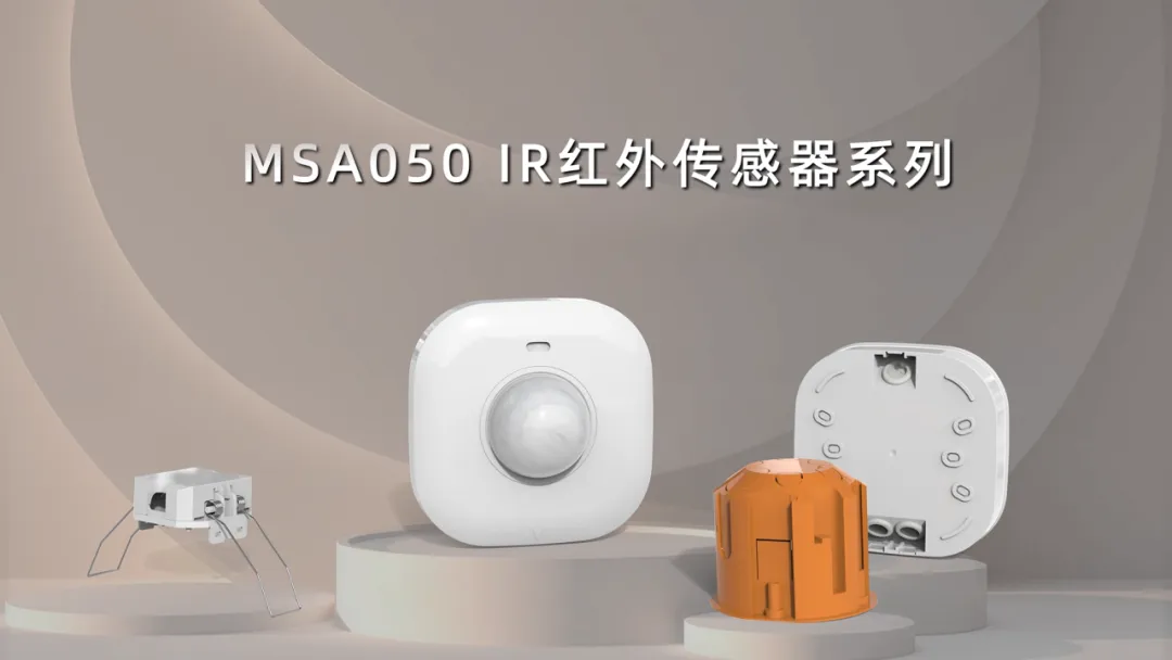 半载足迹,沐光而行 | 迈睿科技2024半年度大事记(图7) 13-240911160554T2.png