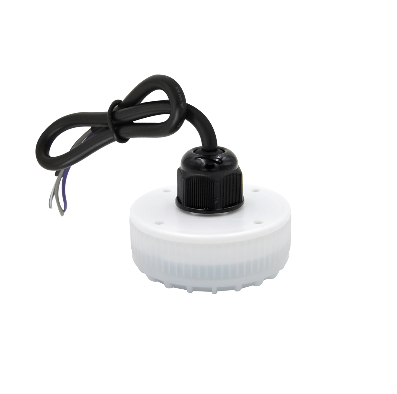 MC079D RC2